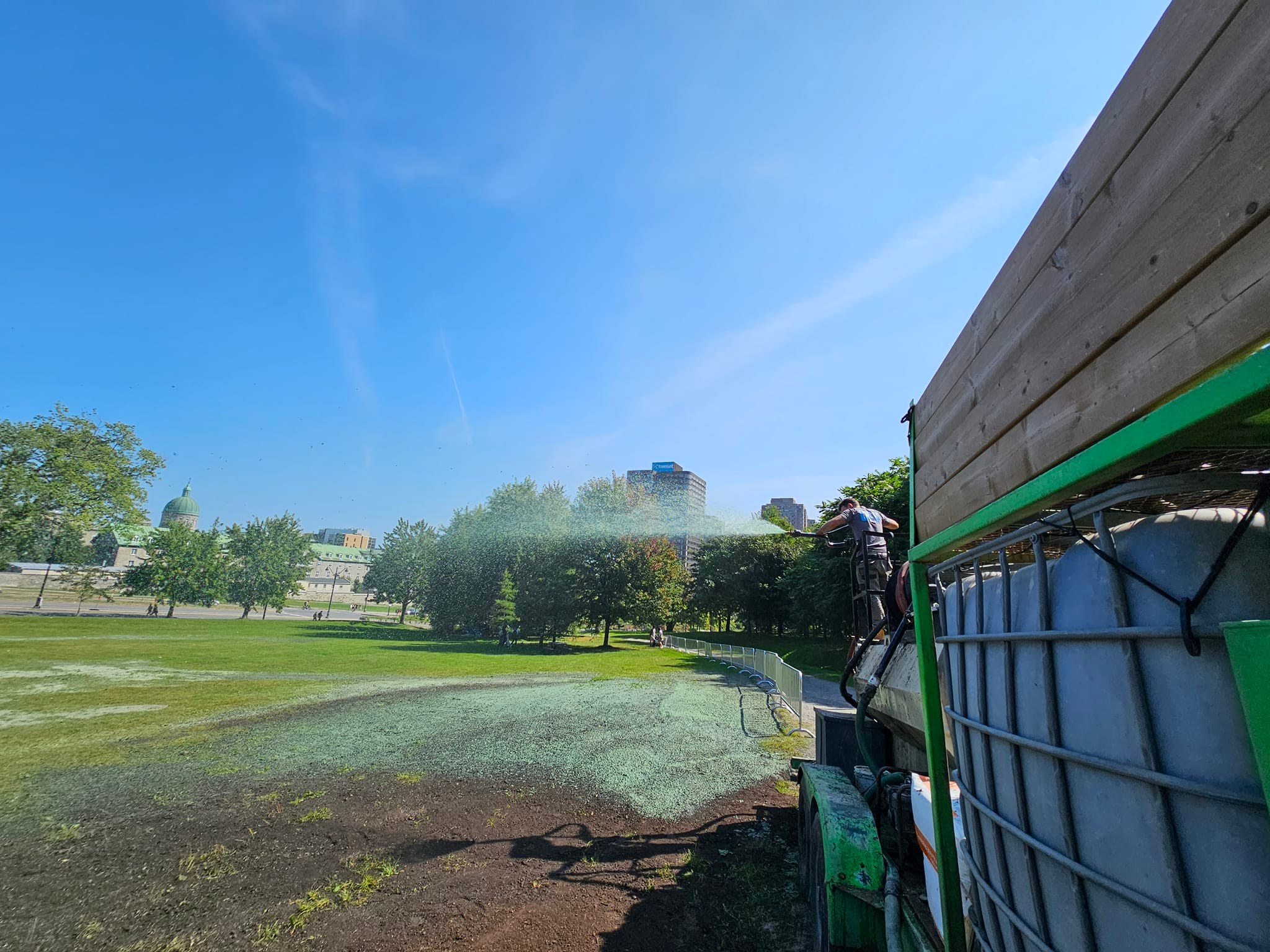 Terrain en pente recouvert de végétation verte sur un talus résidentiel  à Sainte-Anne-des-Lacs